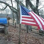 Profile Picture of Nancy Healy (@nancyellenhealy) on Instagram