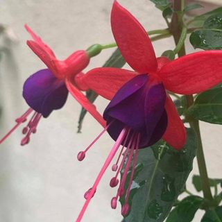 Profile Picture of Yee Mui (@mui.yee.372019) on Facebook