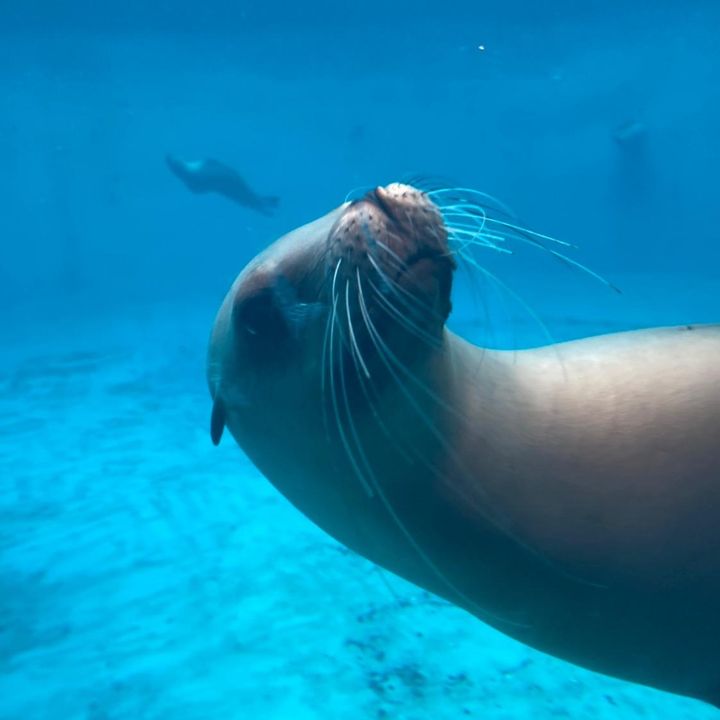 Profile Picture of joannstuart8 (@joannstuart8) on Tiktok