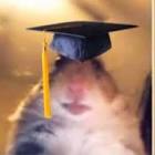 Profile Picture of   Julia Talley (@pussypopped)... (@pussypopped) on Tiktok