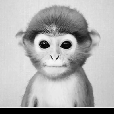 Profile Picture of Dashaun Taylor (@DashaunTaylor9) on Twitter