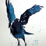 Drew Mayer - Instagram Profile Picture of Drew Mayer (@mayer_drew) on Instagram