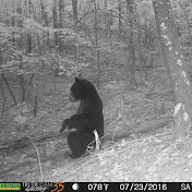 Profile Picture of Thomas Southers (@thomassouthers870) on Youtube