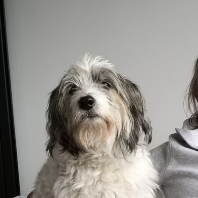 Profile Picture of Brian Brody (@BrianBrody5) on Twitter