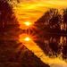 Profile Picture of Paula Van Dyck (@paulavandyck9) on Pinterest