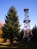 Profile Picture of Poppenberg (Harz) - Wikipediaon Wikipedia