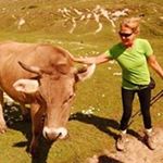 Profile Picture of Karen Spodarek (@kspodarek) on Instagram