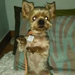 Profile Picture of Sunja Kim (@k_sunja) on Instagram