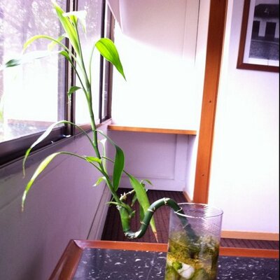 Profile Picture of ALEXANDER CATAÑO (@ACAPCOL) on Twitter