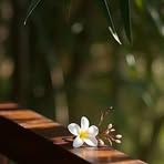 Profile Picture of Markus Gerber (@Markus-Gerber) on Facebook