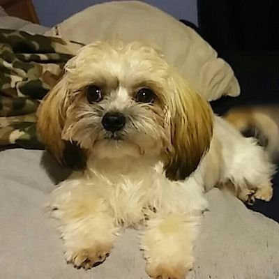 Profile Picture of Hunter Marks (@rifleme915) on Twitter