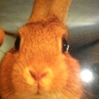 Profile Picture of Tracey Clavey (@tracey.clavey) on Facebook