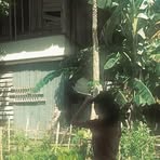 Profile Picture of jennelyn gwaps (@jan.michil.caldeo.bangasao) on Facebook