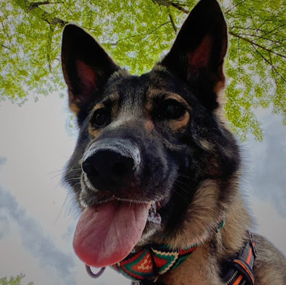 Profile Picture of Esmee Frohock (@esmeefrohock) on Poshmark