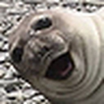 Profile Picture of Joe Ong (@joeshong) on Flickr