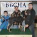 Profile Picture of Brian Weger (@brian.weger.31) on Facebook