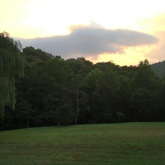 Profile Picture of Kim Hoskins (@kimhoskins929) on Poshmark