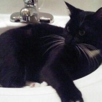 Caleb Dubois - Quora Profile Picture of Caleb Dubois (@caleb-dubois) on Quora