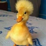 Profile Picture of Grady Brockway (@grady_brockway_13) on Instagram