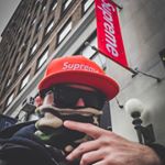 Profile Picture of George Spyropoulos (@speedfreak990) on Instagram