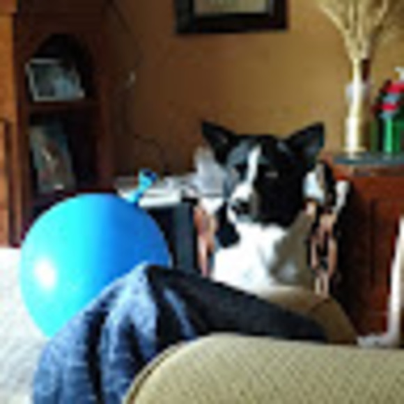 Profile Picture of Dodee Oxarart (@dodeeoxarart) on Poshmark