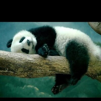 Profile Picture of Anna Coco (@annacoco1) on Twitter