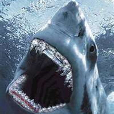 Profile Picture of Jim Boylan (@DekkApe) on Twitter