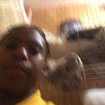 Profile Picture of Lorenzo Cobb (@cash_m_12) on Instagram