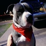 Profile Picture of Travis Lindsey (@travis.lindsey.7798) on Instagram