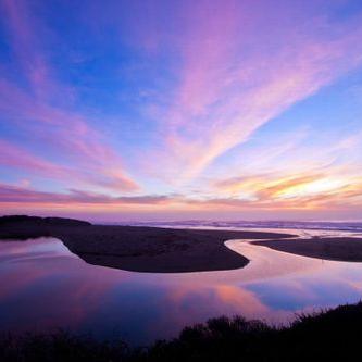 Profile Picture of Audrey Allen (@audreyallen696) on Twitter