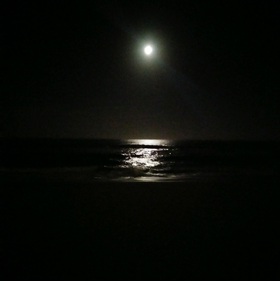 Profile Picture of Robert Coleman (@robsayfukyou) on Poshmark