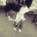 Profile Picture of Marilyn Perkins (@marilyn.perkins.758) on Facebook