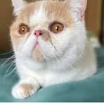 Profile Picture of Hubert Namen (@Hubert-Namen) on Facebook