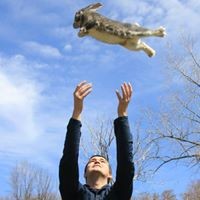 Profile Picture of Alexander Flores (@alexander-flores-22) on Quora