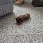 Profile Picture of Lucille Suggs (@lucille.suggs) on Facebook