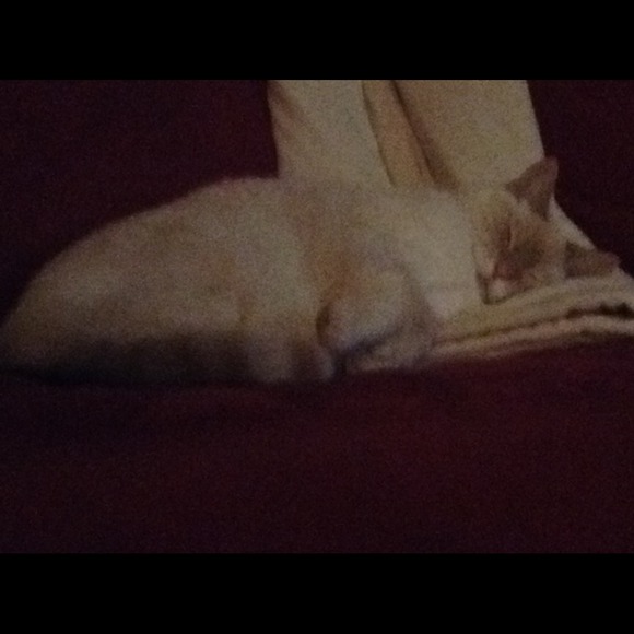 Profile Picture of Austin Mahone (@llg99) on Poshmark