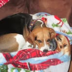 Profile Picture of Danielle Généreux (@danielle.genereux.149920) on Facebook