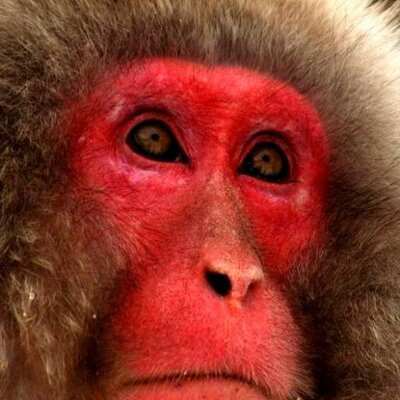 Profile Picture of John (@Baseman3) on Twitter