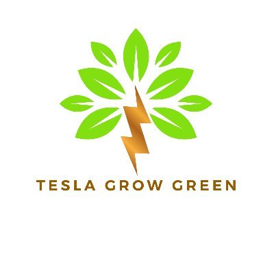 Profile Picture of Tesla Grow Green (@BrianDebortoli) on Twitter