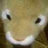 Profile Picture of kelly key (@@kellykey050806) on Tiktok