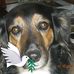 Profile Picture of Nanette Peterson (@nanette.peterson.1) on Facebook