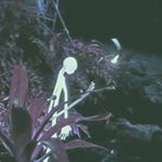 Matt Tobin - Instagram Profile Picture of Matt Tobin (@mtoooooobin) on Instagram