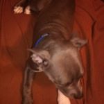 Profile Picture of Dwayne Simmons (@dwayne0976) on Instagram