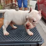 Profile Picture of William Bruce (@William-Bruce) on Facebook