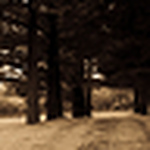 Profile Picture of Bree Carter (@breenicole92) on Flickr