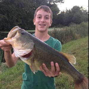 Profile Picture of Peter Wiegand7 (@peterwiegand7) on Tiktok