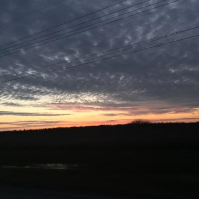 Profile Picture of CammieJames (@JamescammJ) on Twitter