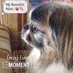 Teresa Bailey - Instagram Profile Picture of Teresa Bailey (@teonavintage) on Instagram