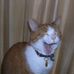Profile Picture of Paul Plotnick (@paul.plotnick.3) on Facebook