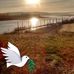Profile Picture of John Corda (@john.corda.520) on Facebook